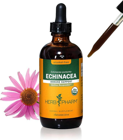 Herb Pharm Certified Organic Echinacea Root Liquid Extract for Immune System Support, Alcohol-Free Glycerite, 4 Ounce
