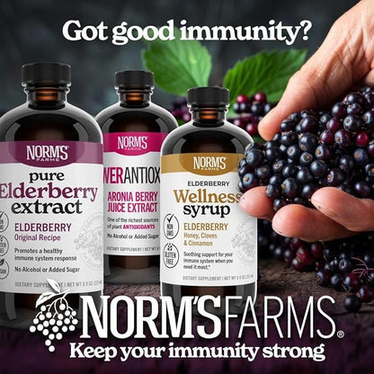 Norm's Farms American Elderberry Extract - Pure Concentrate for Immune Support Made with Berries - Vegan, Gluten Free, Non-GMO - 8 Oz. Bottle