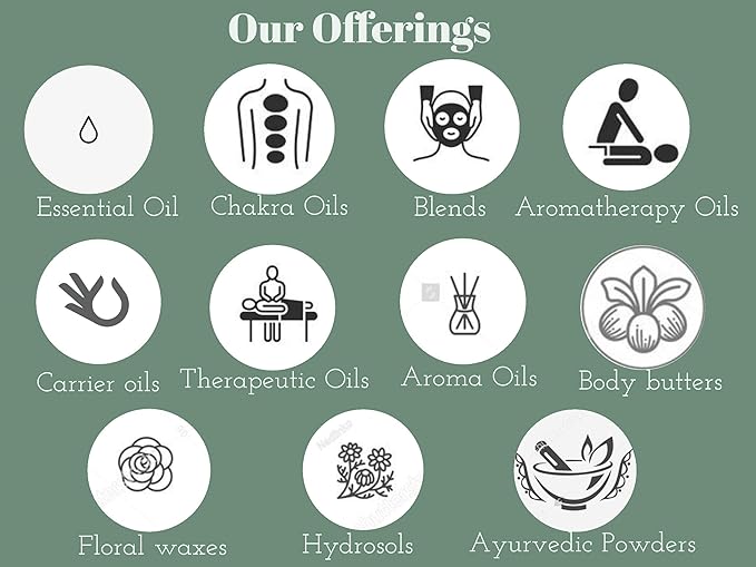 Deve Herbes Pure Flax Seed Powder (Linum usitatissimum) Organic Certified Natural Therapeutic Grade 100 gm (3.5 oz)