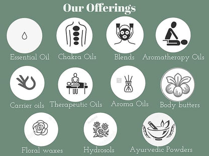 Deve Herbes Pure Flax Seed Powder (Linum usitatissimum) Organic Certified Natural Therapeutic Grade 100 gm (3.5 oz)