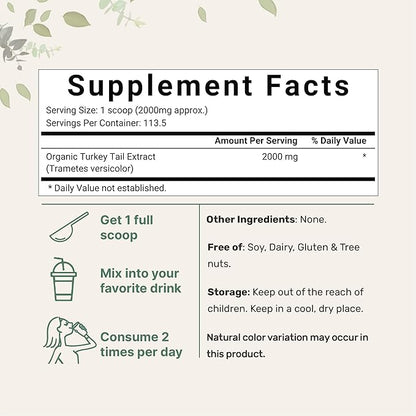 Micro Ingredients Organic Turkey Tail Mushroom Powder (50:1 Extract), 8 Ounce | Freeze Dried with Active Polysaccharides, Supports Immune Response & Cellular Level, Pet Friendly