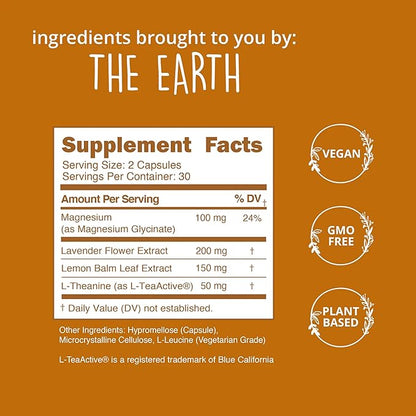 Happy Healthy Hippie Be Grounded Stress Relief Supplement – Lavender Pills | Promotes Calmness & Relaxation | Quick Acting | Magnesium Glycinate 100mg, L Theanine, Lemon Balm Leaf, | Herbal, 60 Ct