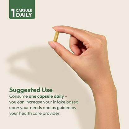 ANDREW LESSMAN Liver Anti-Oxidant Extracts 30 Capsules - Supports The Hard-Working Tissues of The Liver, Promotes Optimum Liver Health and Function. Milk Thistle, Turmeric and Artichoke Extracts