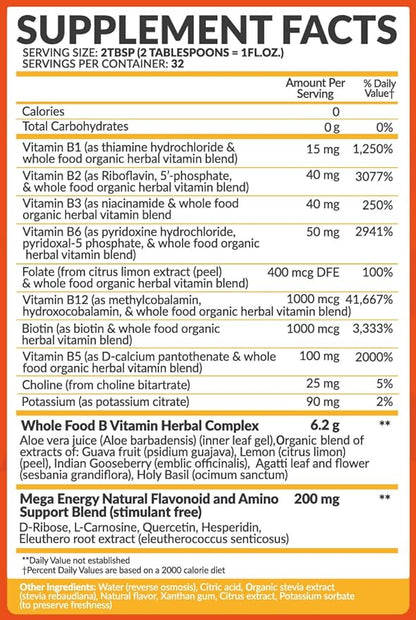 Bio Naturals Vitamin B Complex Liquid Supplement - 100% Natural Energy Boost with Vitamins B1 B2 B3 B5 B6 B12 & Organic Coconut Water for Stress, Mental Focus & Healthy Immune System - 32 fl oz