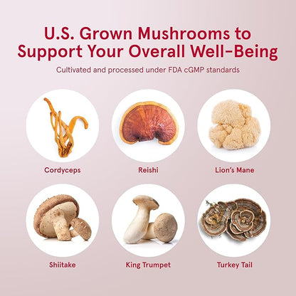 Jarrow Formulas Energy Optimizer with Cordyceps, Reishi, Lion’s Mane, Shiitake, King Trumpet, and Turkey Tail Mushrooms, Dietary Supplement with Ashwagandha, 90 Veggie Capsules, 30 Day Supply
