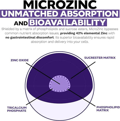 Nootropics Depot MicroZinc Capsules | 20mg | Optimized Zinc Supplement | 30 Count