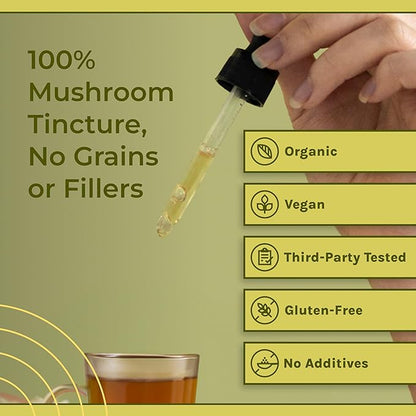 Naturealm Lion’s Mane Mushroom Liquid Tincture Supplement – Focus, Memory & Brain Health, Vegan, Non-GMO – Organic Fruiting Bodies, 1 Month Supply