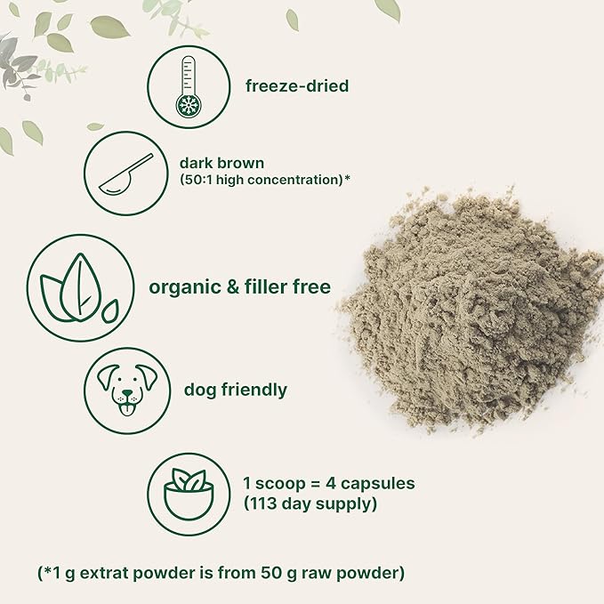 Micro Ingredients Organic Turkey Tail Mushroom Powder (50:1 Extract), 8 Ounce | Freeze Dried with Active Polysaccharides, Supports Immune Response & Cellular Level, Pet Friendly