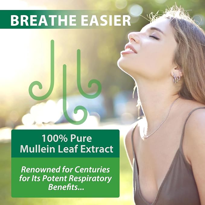 2 Pack Mullein Drops for Lungs, Natural Mullein Herbal Supplements, Mullein Leaf Extract for Lung Cleanse and Respiratory Support, 2.02 fl oz