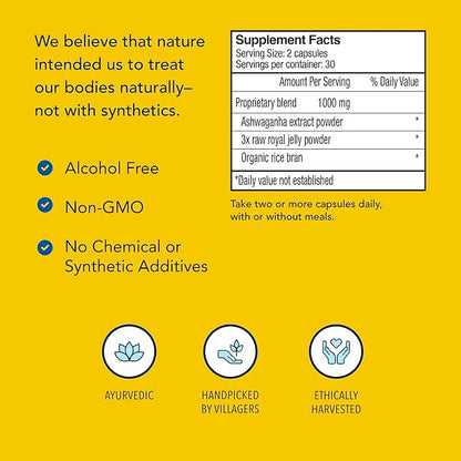 NORTH AMERICAN HERB & SPICE Ashadrene 60 Caps