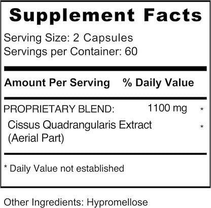 Jiva Botanicals Cissus Quadrangularis Capsules 550 mg - High Potency Cissus Powder Extract for Normal Bone Health & Normal Joint Support - Made in The USA - 120 Capsules