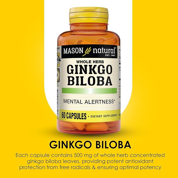 MASON NATURAL Ginkgo Biloba, 3 Month Supply, Helps to Improve Mental Alertness & Support Optimal Brain Function, 60 Capsules (3 Pack)