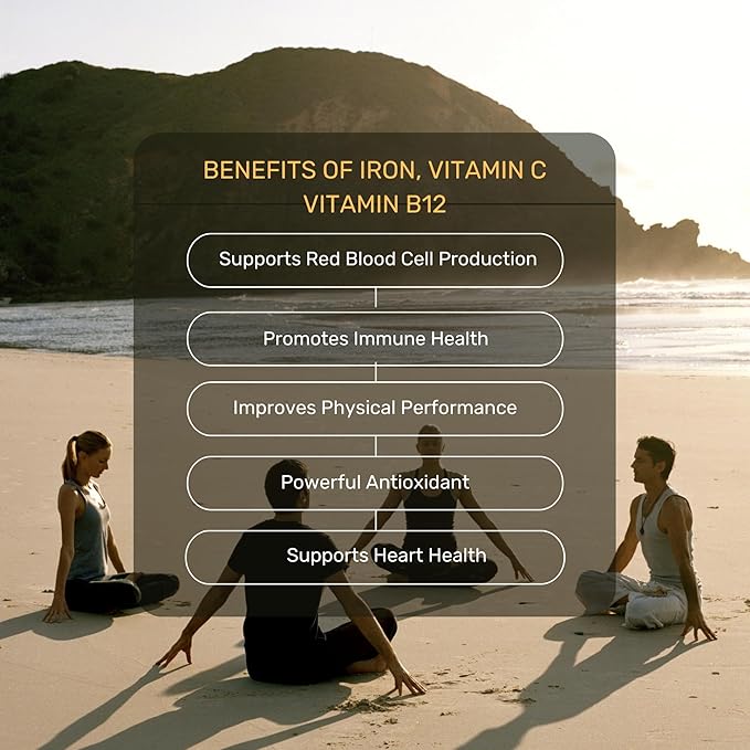 Validus Premium Iron 17 mg - 450 mg Vitamin C - Vitamin B12 1000 mcg - Red Blood Cell Support - Energy Production - Highly Bioavailable Iron Pill - Gluten Free & Vegan - 90 Capsules
