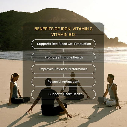 Validus Premium Iron 17 mg - 450 mg Vitamin C - Vitamin B12 1000 mcg - Red Blood Cell Support - Energy Production - Highly Bioavailable Iron Pill - Gluten Free & Vegan - 90 Capsules