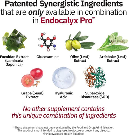 Endocalyx Pro Supplement – Endothelial Glycocalyx Support 120 Capsules - Vascular & Microcirculation Health – Clinically-Studied – Patented – Supports Nitric Oxide Functions
