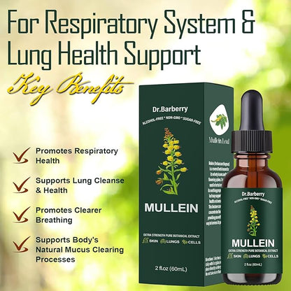 Mullein Drops for Lungs - Lung Detox for Respiratory System, Supports Overall Lung Health, Natural Echinacea Herbal Supplements, Non-GMO, Vegetarian (2 Fl Oz (Pack of 1))