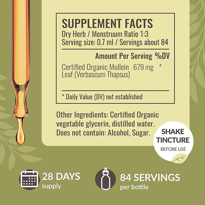 HERBAMAMA Liquid Drops Kit - Bundle of Turmeric Ginger Extract and Mullein Leaf Tincture 2 fl oz - Vegan, Non-GMO, Sugar & Alcohol-Free - 2 Pack