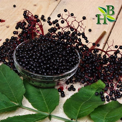 Organic Elderberry Whole - Wildcrafted - 4oz - Packaged with Care - Makes Great Syrup, Teas - Immune System