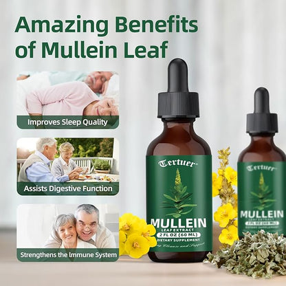 Mullein Tincture Improves Your Lung Health - Lung Cleanse - Vegan Lung Detox - Respiratory Health and Immune Support Drops - Natural Supplement Liquid Extract 2 oz.
