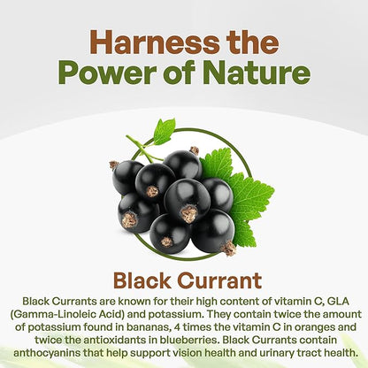 Go Nutra Black Currant Powder Ribes Nigrum 1lb Antioxident Anthocyanin Blackcurrant Berry