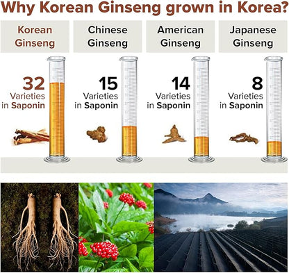 RG3 300- Ginsenosides Rg3 Enhanced (Rg3 : 50mg/Sachet) Korean Red Panax Ginseng Powder-Made in Korea, 10 Sachets, Rare Ginsenoside