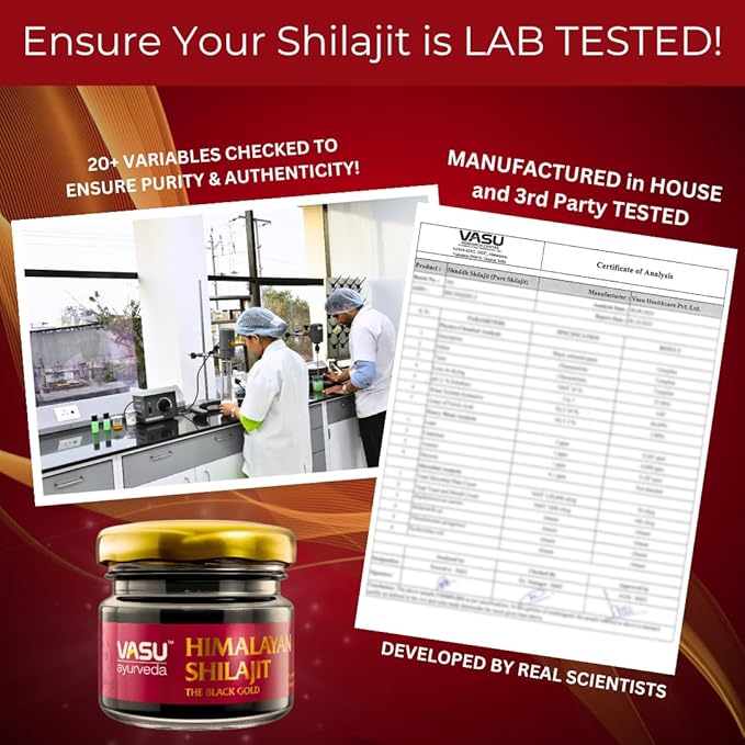 VASU Ayurveda Himalayan Shilajit Resin 400mg – Lab Tested Natural Energy Booster with Fulvic Acid & 85+ Trace Minerals – Pure Shilajit for Men & Women – 100 Days Supply for Strength & Stamina (2-Pack)