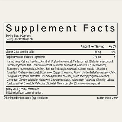 EcoNugenics Padma Active for Women & Men: Vitamin C Supplement for Collagen Formation, Energy Levels, and Immune System, Cellular & Antioxidant Support – Tibetan Recipe of Natural Herbs & Minerals