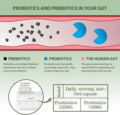 Probiotics 60 Billion CFU 10 Strains, with Organic Probiotic for Digestive & Gut, Immune, Bloating Health, Daily Probiotics Supplement for Women & Men, Non-GMO, Gluten Free, 30 Capsules