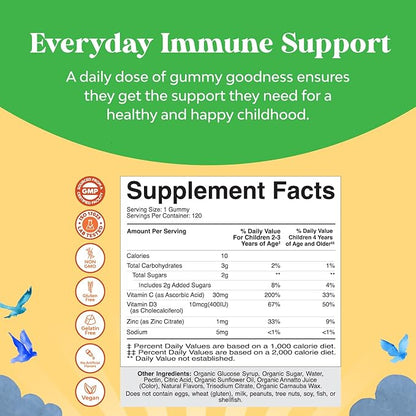 Natures Craft Organic Kids Immune Support Gummies - Vegan Organic Vitamin D Gummies for Kids with Vitamin C and Zinc for Immunity - D3 Zinc and C Gluten Free & Non GMO (120 Servings)