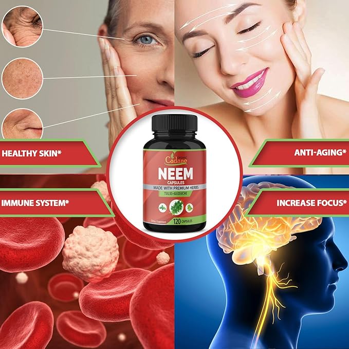 Organic Cadane Neem Leaf Supplements Capsules, 3in1 with Holy Basil Tulsi, Guduchi, 120 Vegetable Capsules | Supports Immune System | Fresh Pure Powder Leaves Herbs