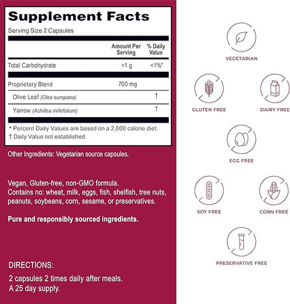 Kroeger Herbs, Olive Leaf Extract Capsules for Immune System, Olive Leaf & Yarrow Supplement, Vegetarian, Non-GMO, Gluten Free, No Preservatives - 100 Capsules, Made in USA