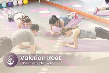 PURE ORIGINAL INGREDIENTS Valerian Root, (100 Capsules) Always Pure, No Additives Or Fillers, Lab Verified