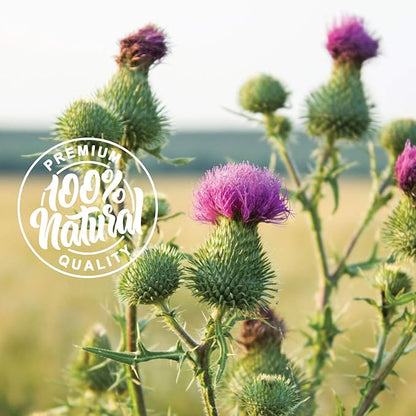 Herbaila Milk Thistle Seeds, 1 lb. Silymarin Milk Thistle Tea, Bulk Milk Thistle Herb Whole Seeds, Pure Milk Thistle Bulk, Whole Milk Thistle Seeds, All Natural, Gluten Free, Non-GMO. 1 Pound.