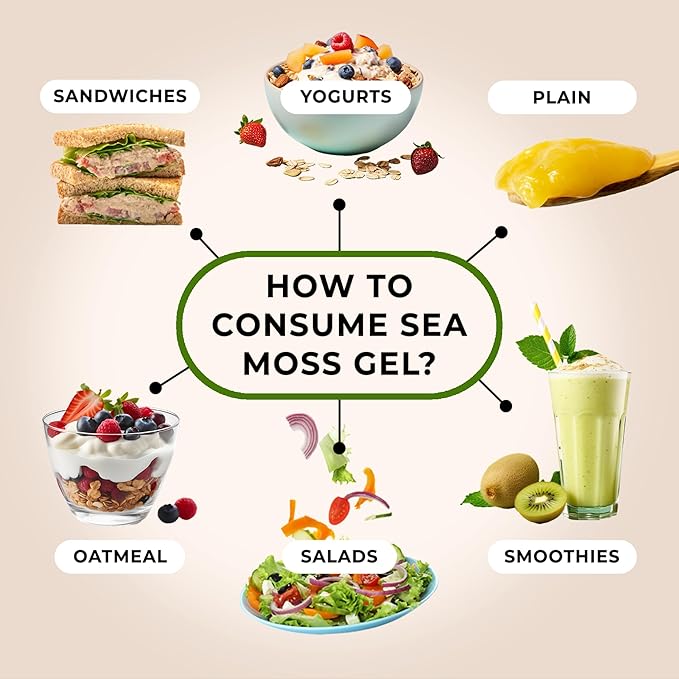 TrueSeaMoss Sea Moss Gel – Made in USA – Wildcrafted Seamoss, Fresh Fruits & Sea Vegetables – Blue Spirulina, Pack of 1 (Labels may Vary)