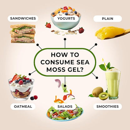 TrueSeaMoss Sea Moss Gel – Made in USA – Wildcrafted Seamoss, Fresh Fruits & Sea Vegetables – Blue Spirulina, Pack of 1 (Labels may Vary)
