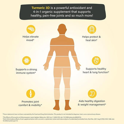 Organixx USDA Organic Turmeric Curcumin Supplement with Ashwagandha, Vitamin D, Turmeric & Ginger – Immune & Joint Support, Fermented for Maximum Bioavailability, 60 Vegetarian Capsules