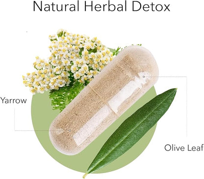 Kroeger Herbs, Olive Leaf Extract Capsules for Immune System, Olive Leaf & Yarrow Supplement, Vegetarian, Non-GMO, Gluten Free, No Preservatives - 100 Capsules, Made in USA