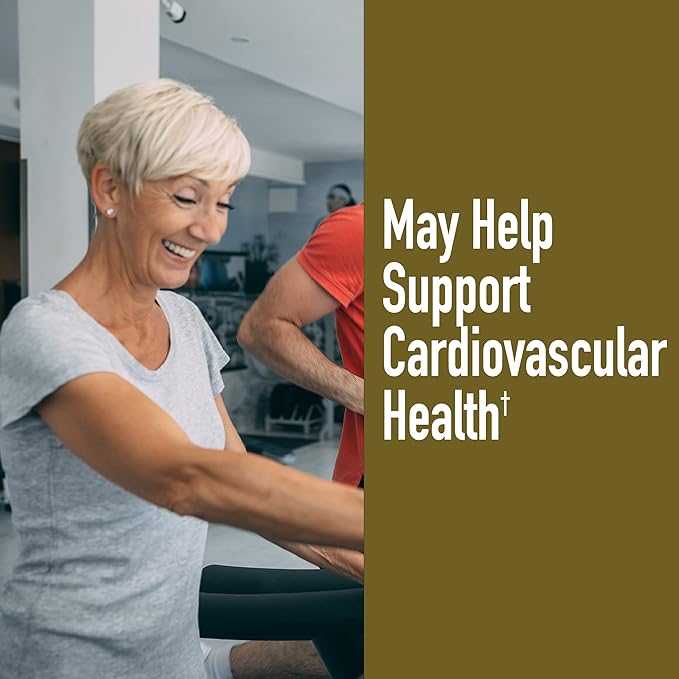 Magnesium Gluconate 500 Mg 90 Tb - From Windmill