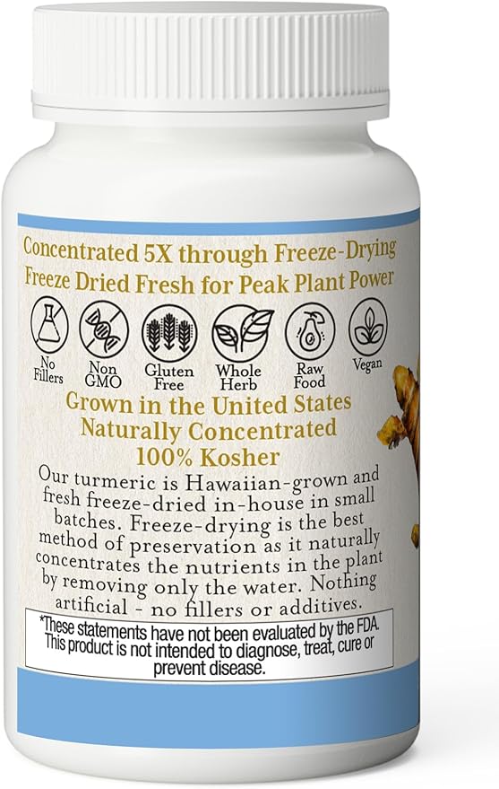ECLECTIC INSTITUTE Raw Freeze-Dried Turmeric | US Grown | Vegetarian, Non-GMO, Gluten Free | 90 CT (395 mg)
