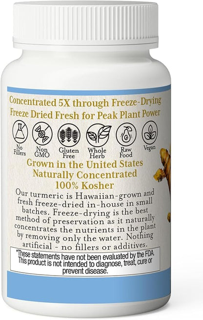 ECLECTIC INSTITUTE Raw Freeze-Dried Turmeric | US Grown | Vegetarian, Non-GMO, Gluten Free | 90 CT (395 mg)
