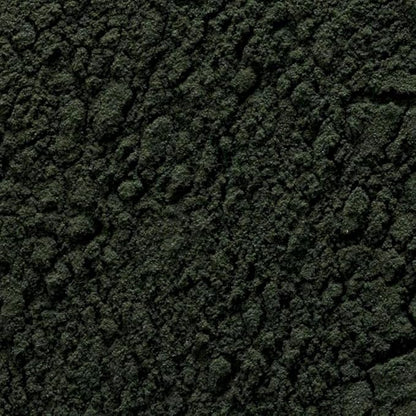 Frontier Bulk Chlorella Powder, 16 Ounce