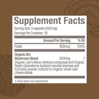 OM MUSHROOM SUPERFOOD Brain Fuel Mushroom Powder Capsules Superfood Supplement, 90 Count, 30 Days, Lion's Mane, Reishi Blend Plus Folate, Mental Clarity, Mushroom Supplement