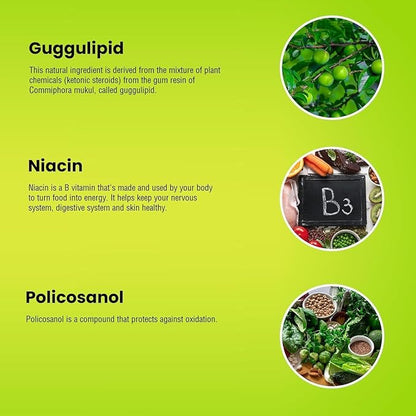 Natural Supplement with CoQ10, Red Yeast Rice, Niacin, Policosanol and Guggul. The Natural Way. by New Health Plus 60 MG Co-Q10 (120 caps)