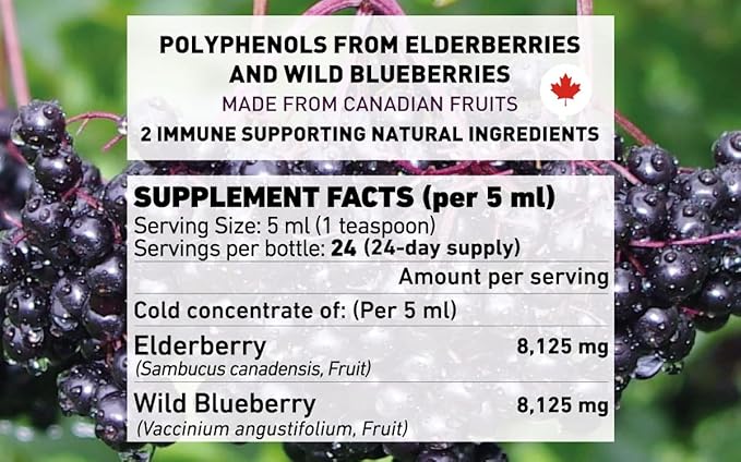 Immunia Elderberry & Wild Blueberry Concentrate. Strengthen Your Immune System Naturally. Delicious Taste. 24-Day Supply. (1-Pack)