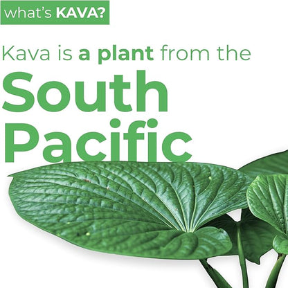 LEILO | Kava Powered Sparkling Relaxation Drink | Variety Sampler 6-Pack – Non-ALC Calming Beverage – Includes (3) Classic & (3) Mocktail Flavors | 12 fl oz Cans (Pack of 6)