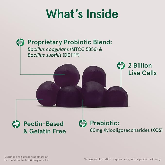 Jarrow Formulas Probiotic+ Prebiotic 2 Billion Live Cells Supplement, Digestive Health and Immune Support, 60 BlackBerry Flavor Probiotic+ Prebiotic Gummies, 30 Day Supply