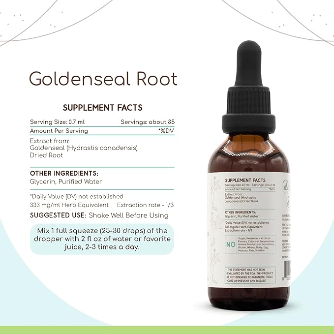 Goldenseal Root B60 Alcohol-Free Herbal Extract Tincture, Super-Concentrated Responsibly farmed Goldenseal (Hydrastis Canadensis) (2 fl oz)