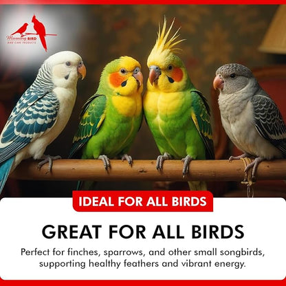 Morning Bird Calcium Plus Powder for Birds 1 oz – Calcium Supplement with Vitamin & Protein Powder – Supports Bone Health, Muscle Function & Digestive Balance – Easy-to-Mix Calcium Formula