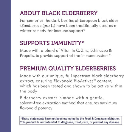 Nature's Way Sambucus Immune* Elderberry Syrup with Echinacea, Zinc & Vitamin C, 4 Oz (Pack of 2)
