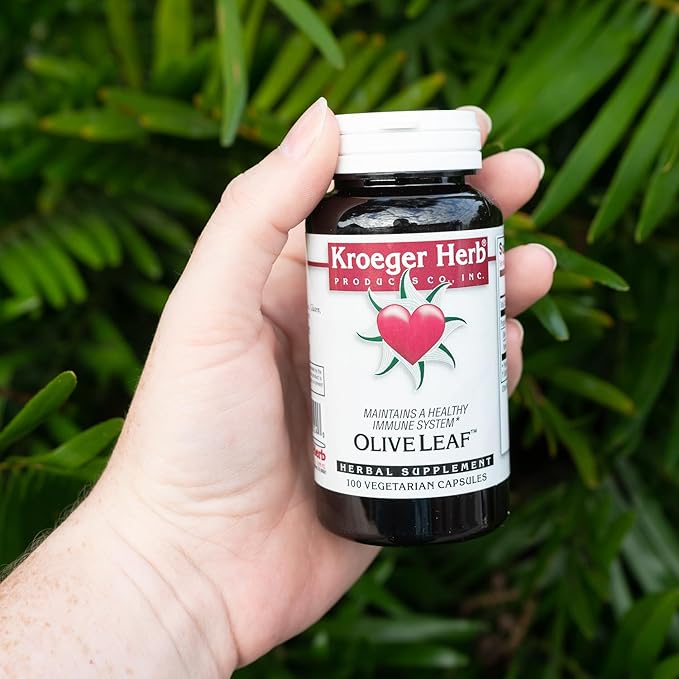 Kroeger Herbs, Olive Leaf Extract Capsules for Immune System, Olive Leaf & Yarrow Supplement, Vegetarian, Non-GMO, Gluten Free, No Preservatives - 100 Capsules, Made in USA